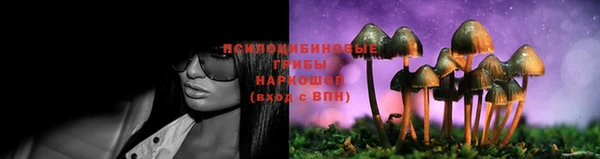 MDMA Гусев