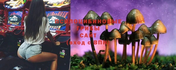 прущий лед Дмитров